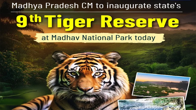 58-th-tiger-reserve-in-india-madhav-tiger-reserve-madhy-pradesh